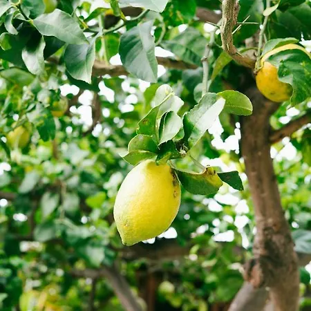 Easysleep 아파트 *